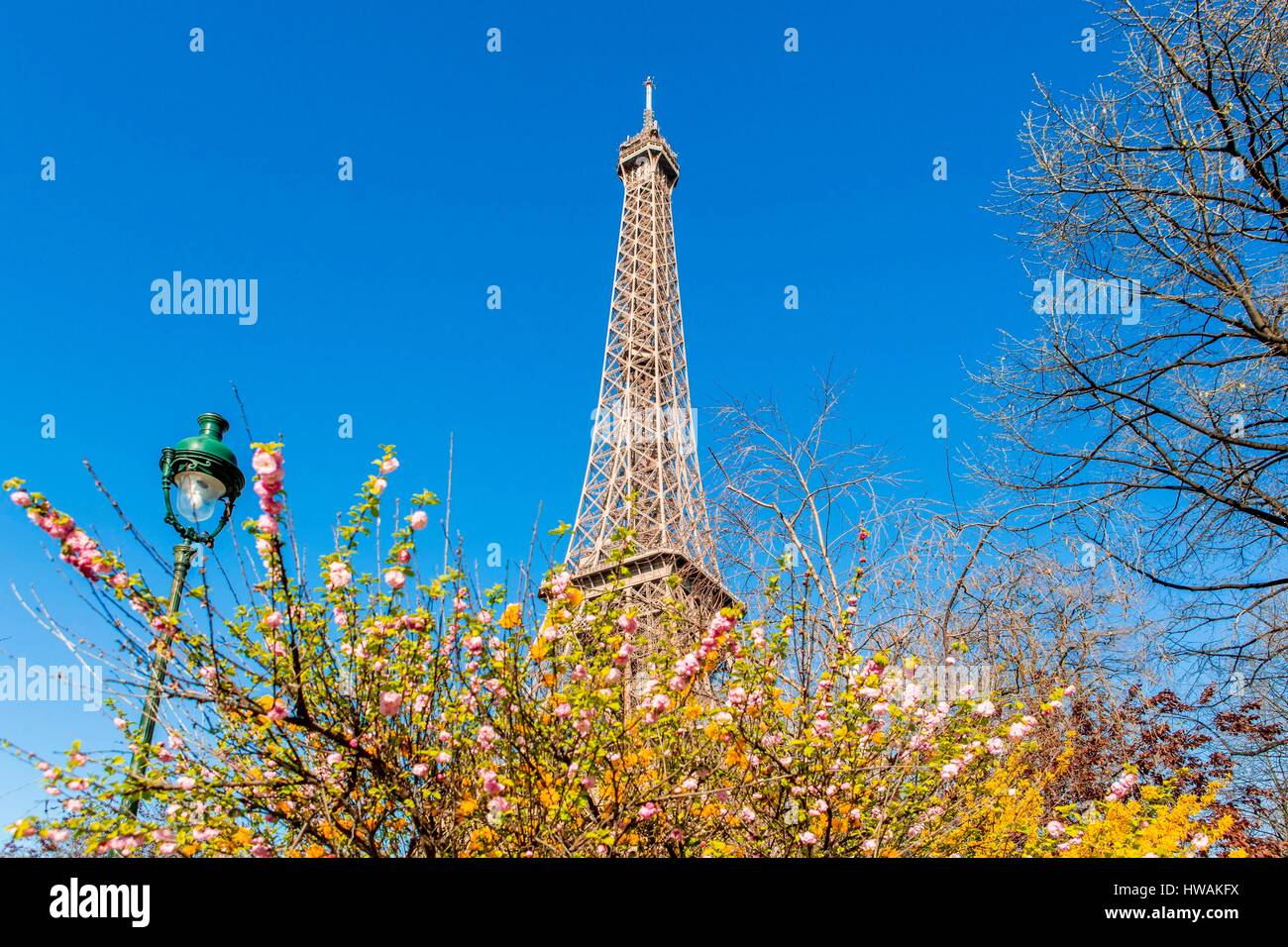 Francia, Parigi, zona elencata come patrimonio mondiale dall' UNESCO, dagli Champs de Mars e la Torre Eiffel in primavera Foto Stock