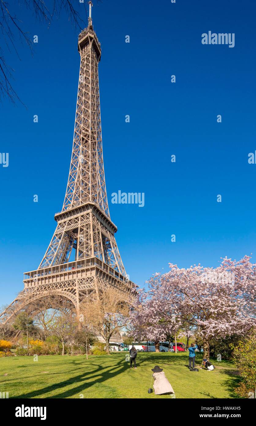 Francia, Parigi, zona elencata come patrimonio mondiale dall' UNESCO e dagli Champs de Mars e la Torre Eiffel in primavera con la fioritura dei ciliegi Foto Stock