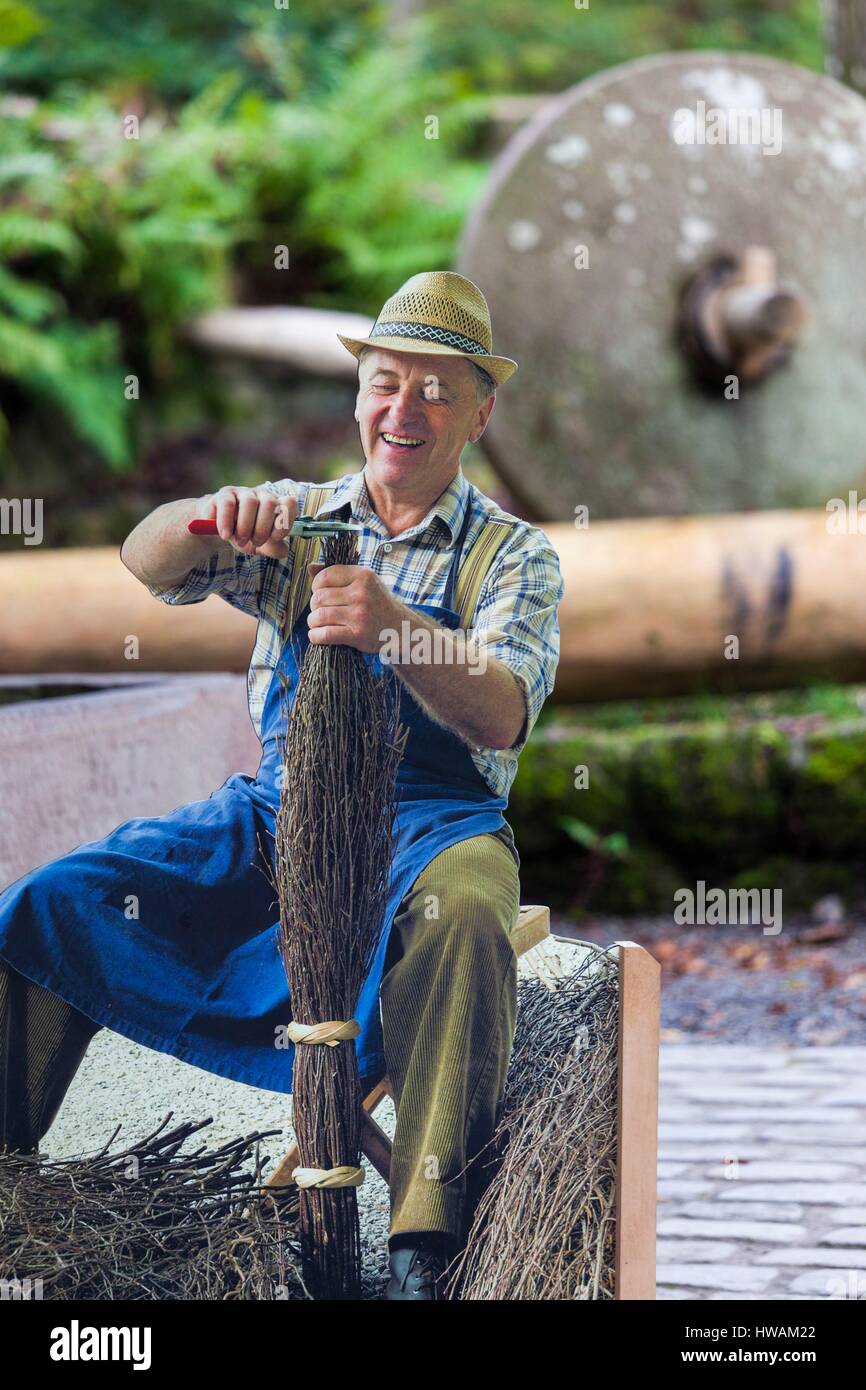 Germania, Baden-Wurttemburg, Foresta Nera, Haslach im Kinzigtal, Blackforest Outdoor Farm Museum, ginestra rendendo il display Foto Stock