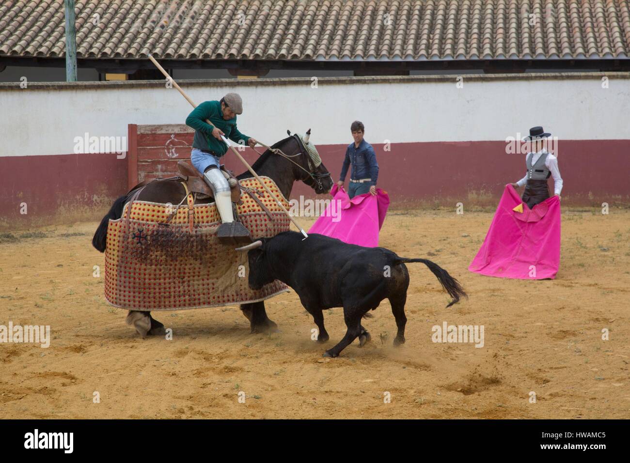 Spagna, Andalusia, Finca Los Alburejos, picador in azione, maggio 2016 Foto Stock