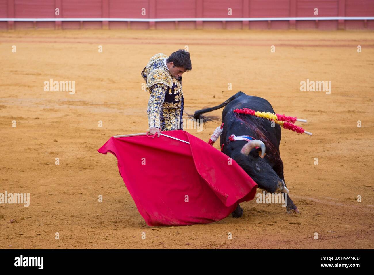 Spagna, Andalusia, Siviglia, faena torero Jose Maria Manzanares, Maggio 2016 Foto Stock