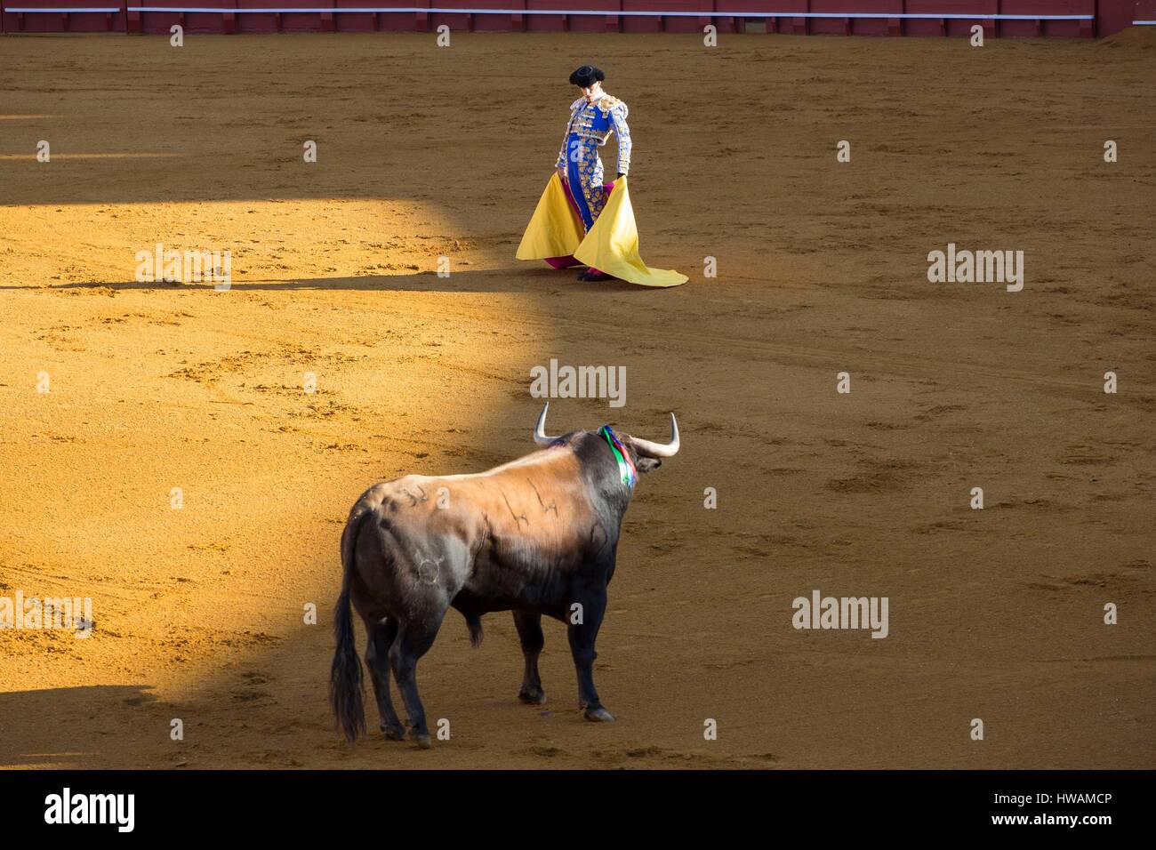 Spagna, Andalusia, Jerez de la Frontera, Jerez Bullring il torero invita il toro, Marzo 2016 Foto Stock