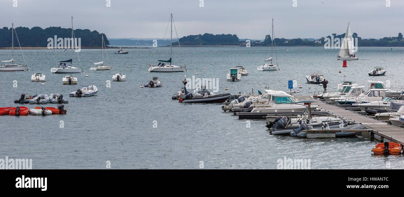 Francia, Morbihan, il Golfo di Morbihan, Arradon, parco naturale regionale del Golfo di Morbihan, punta il radon Foto Stock