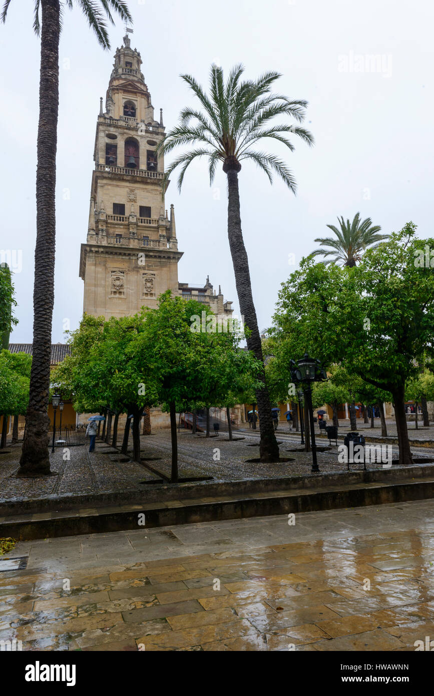 La Mezquita di Cordova, Spagna, il campanile visto dalla Corte di arance Foto Stock