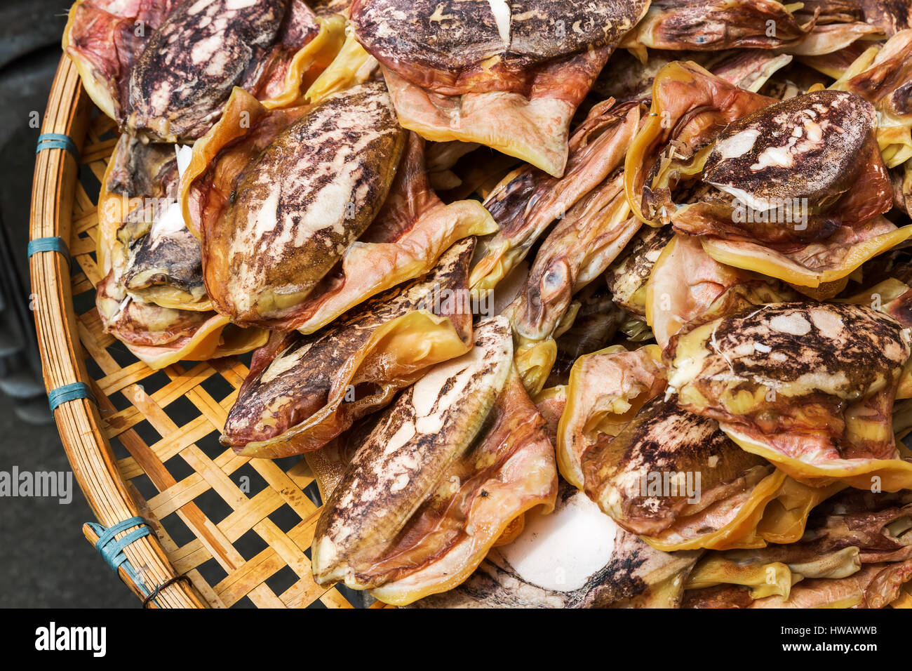 Calamari posato a secco in Tai O, l'Isola di Lantau, Hongkong Foto Stock