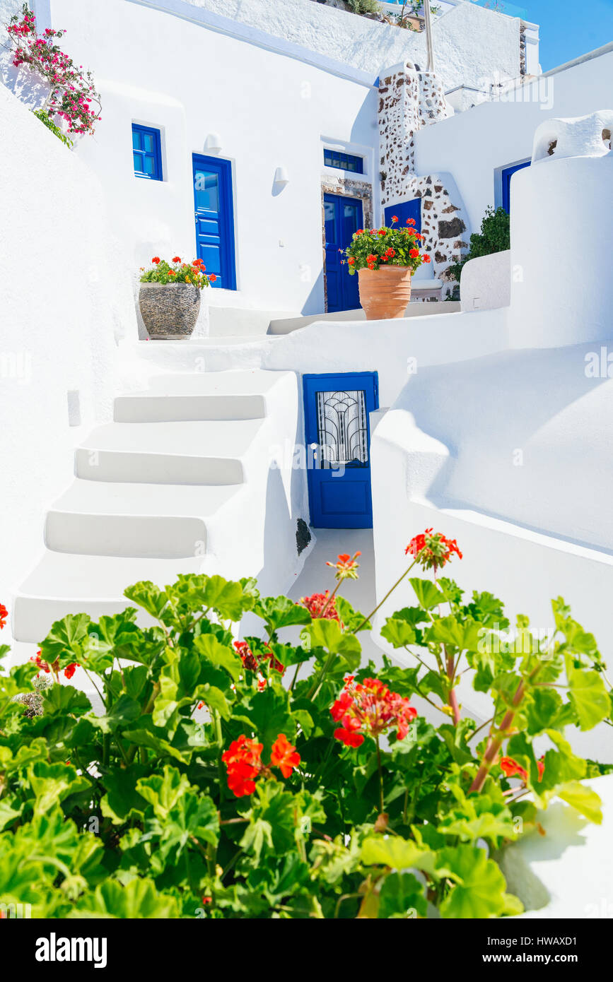 Cicladico tradizionale architettura dipinta di bianco con porte blu e vasi di fiori, imerovigli - Santorini Island, Grecia Foto Stock