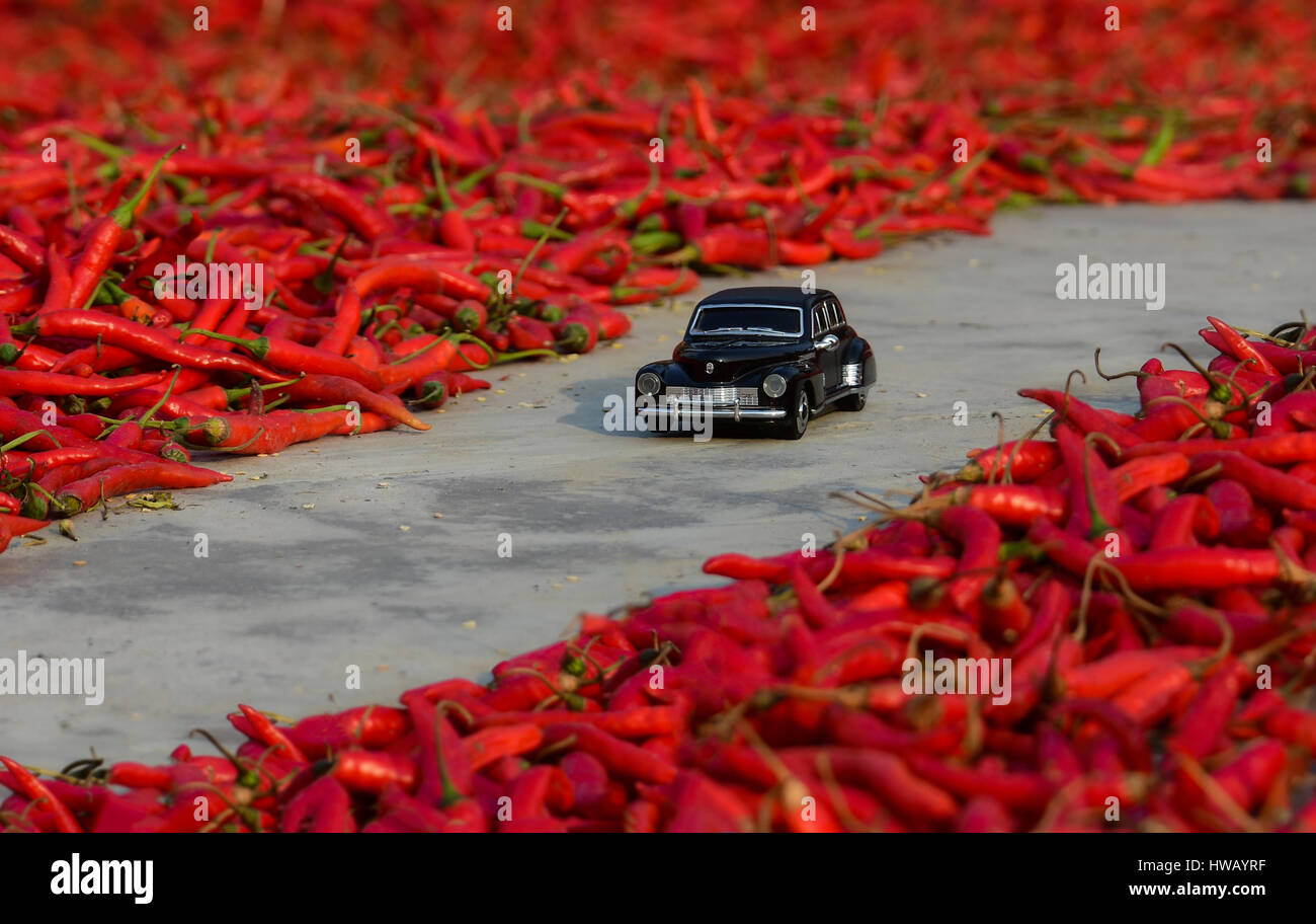 Rosso peperoncino Road Foto Stock