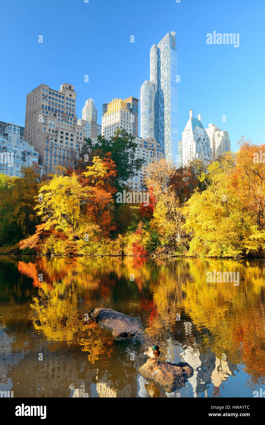 Central Park la mattina con la luce diretta del sole e urban grattacieli in autunno in New York City. Foto Stock