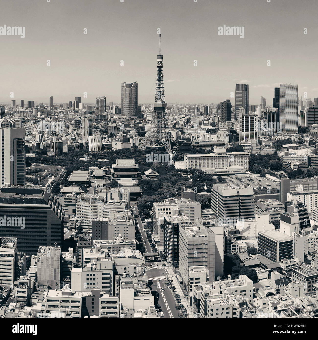 La Torre di Tokyo e Urban Skyline Rooftop view, Giappone. Foto Stock