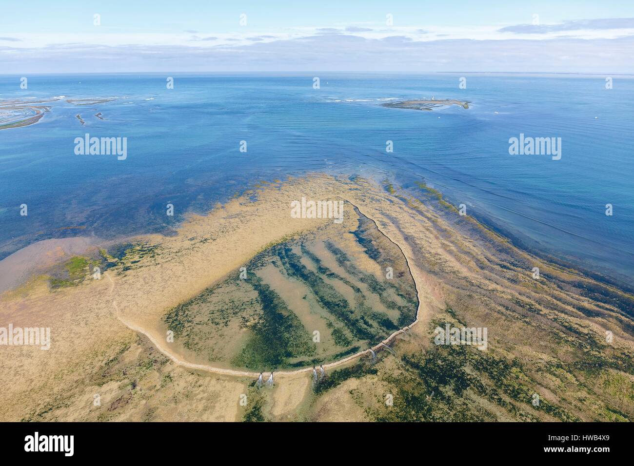 Francia, Charente Maritime, Oleron Island, Saint Denis d'Oleron, serratura di pesce a bassa marea (vista aerea) Foto Stock
