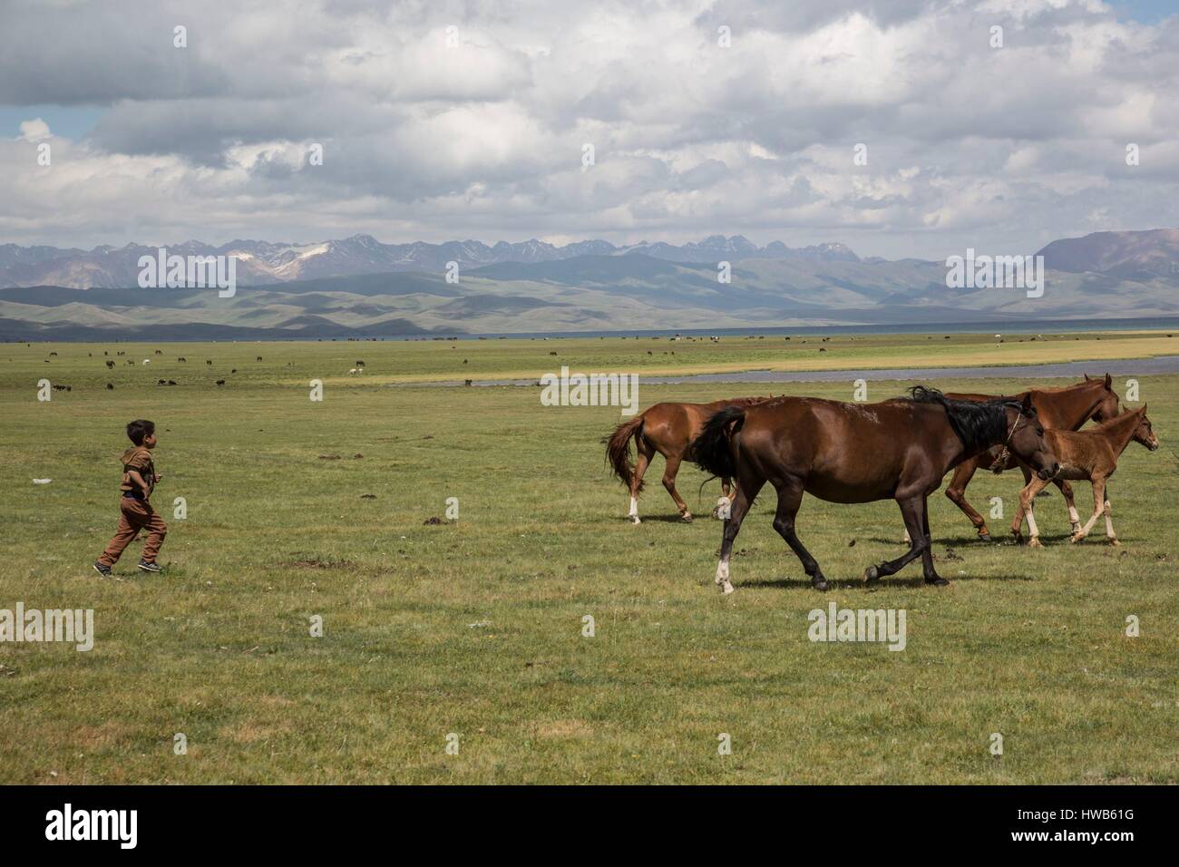 In Kirghizistan, Provincia di Naryn, viaggio turistico e trekking di montagna, mares e bambino Foto Stock