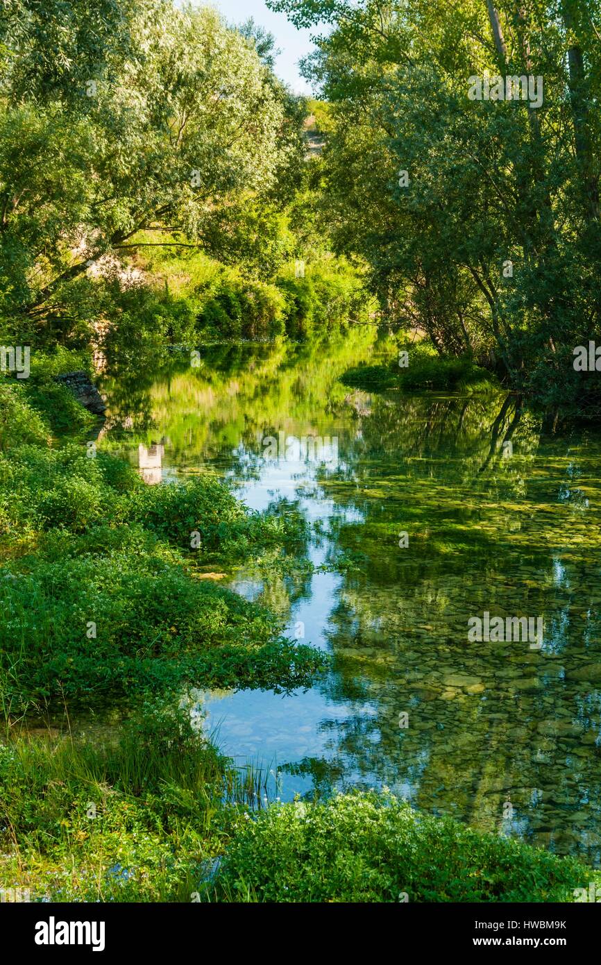 Fitta foresta verde sopra fiume calmo Foto Stock
