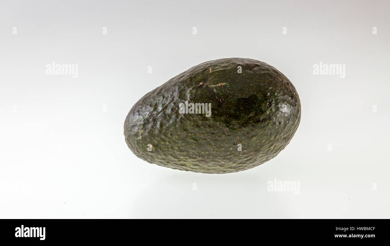 Avocado su sfondo bianco Persea americana Foto Stock