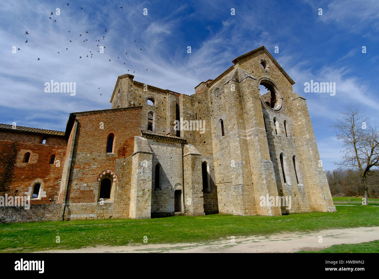 Antica abbazia di San Galgano in Toscana, Italia. Si trova a circa trenta chilometri dalla città medievale di Siena Foto Stock
