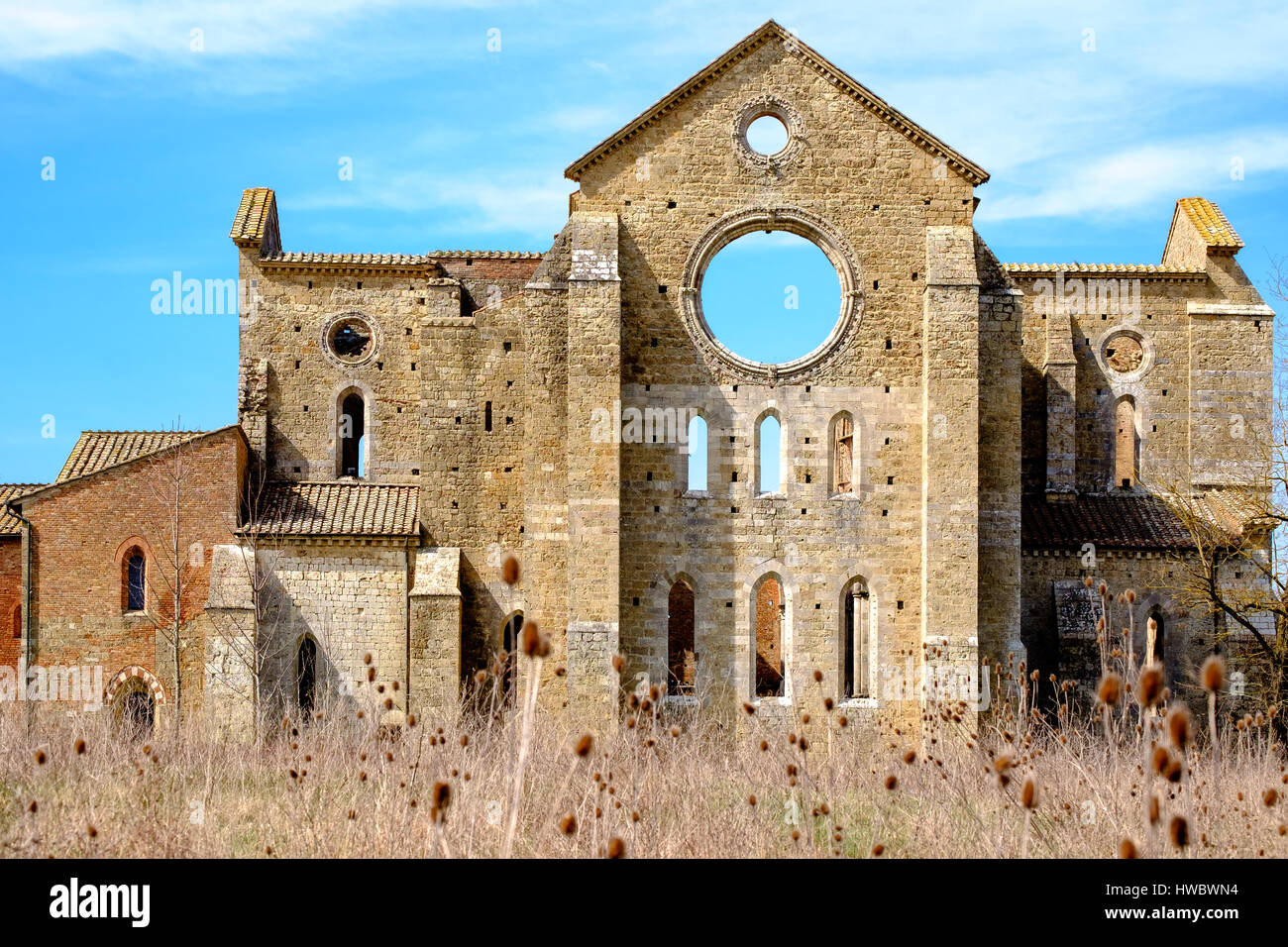 Antica abbazia di San Galgano in Toscana, Italia. Si trova a circa trenta chilometri dalla città medievale di Siena Foto Stock