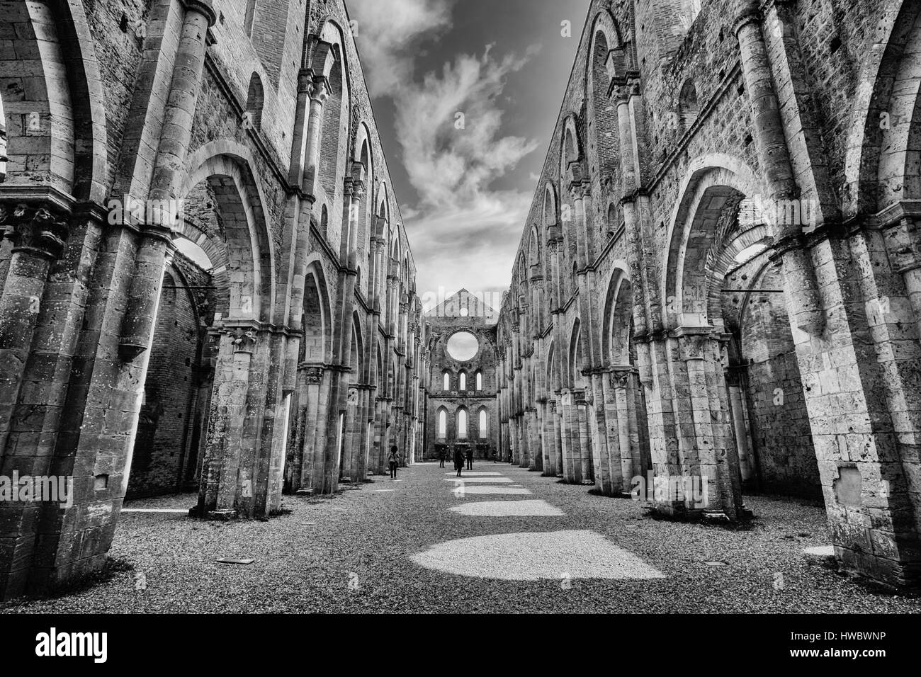 Antica abbazia di San Galgano in Toscana, Italia. Si trova a circa trenta chilometri dalla città medievale di Siena Foto Stock