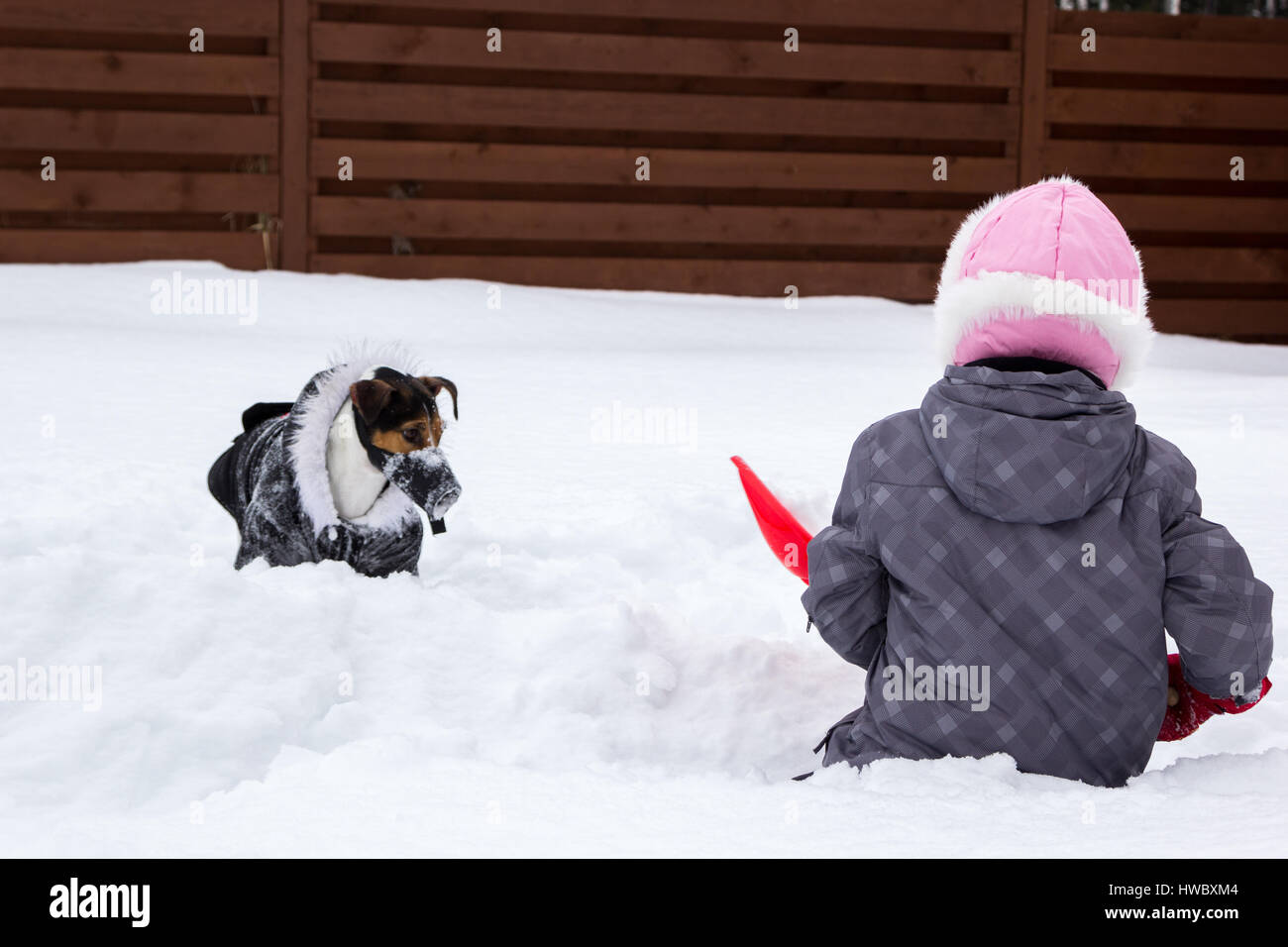 Ragazza e cane a giocare nella neve con una pala Foto Stock