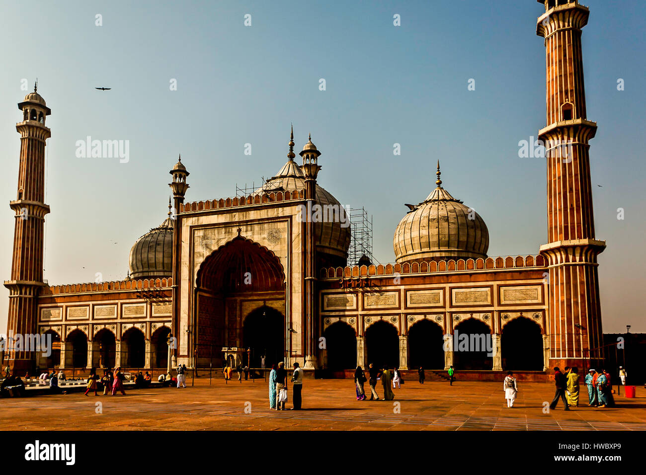 Jama Masjid, la Vecchia Delhi, India Foto Stock