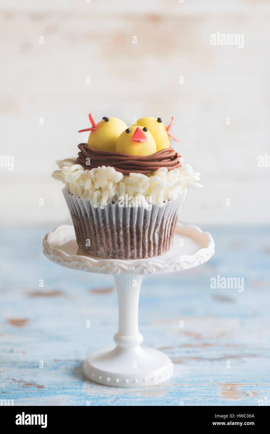Uccellini nel nido su cup cake,fuoco selettivo Foto Stock
