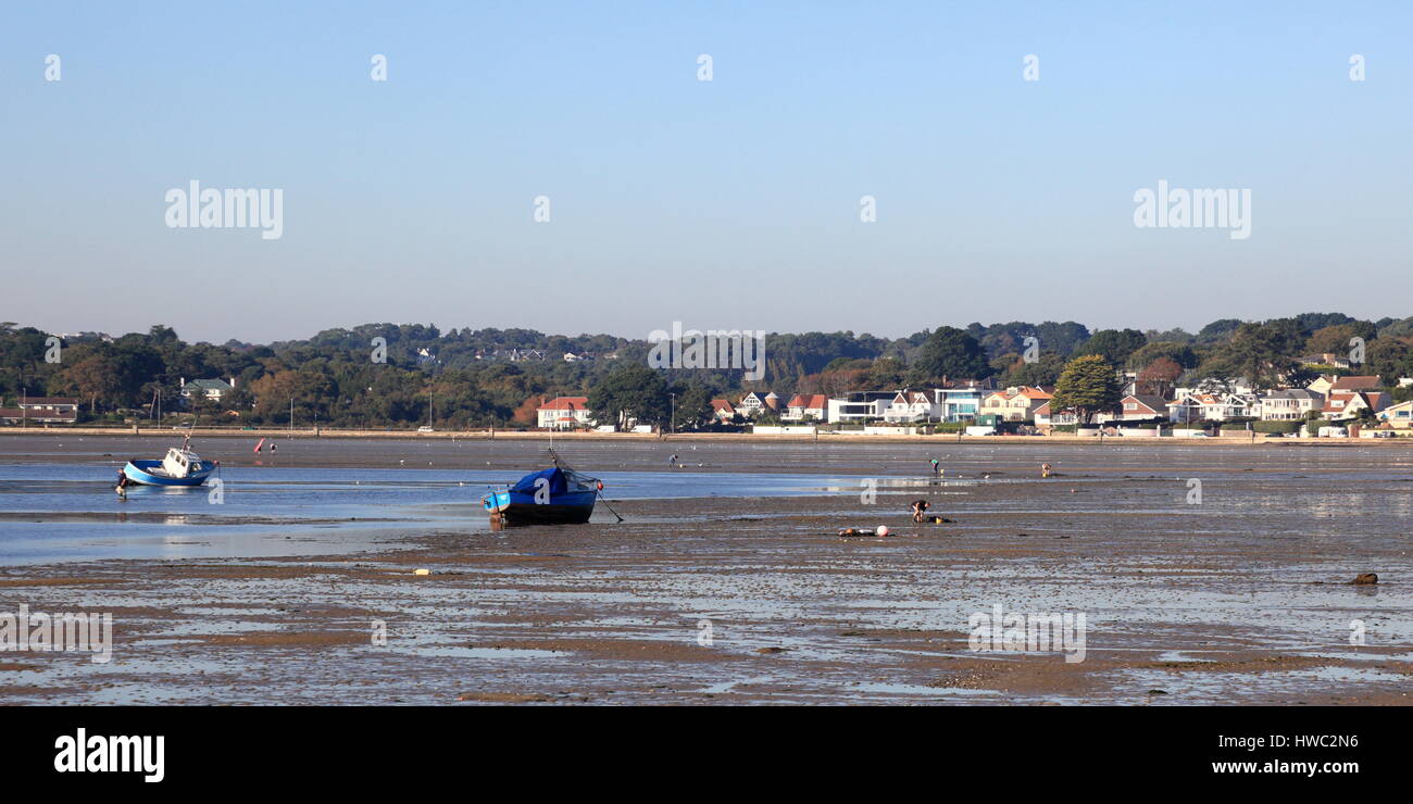 Acqua bassa nel porto di Poole lasciando sabbia bagnata e barche ormeggiate sulla sabbia bagnata Foto Stock