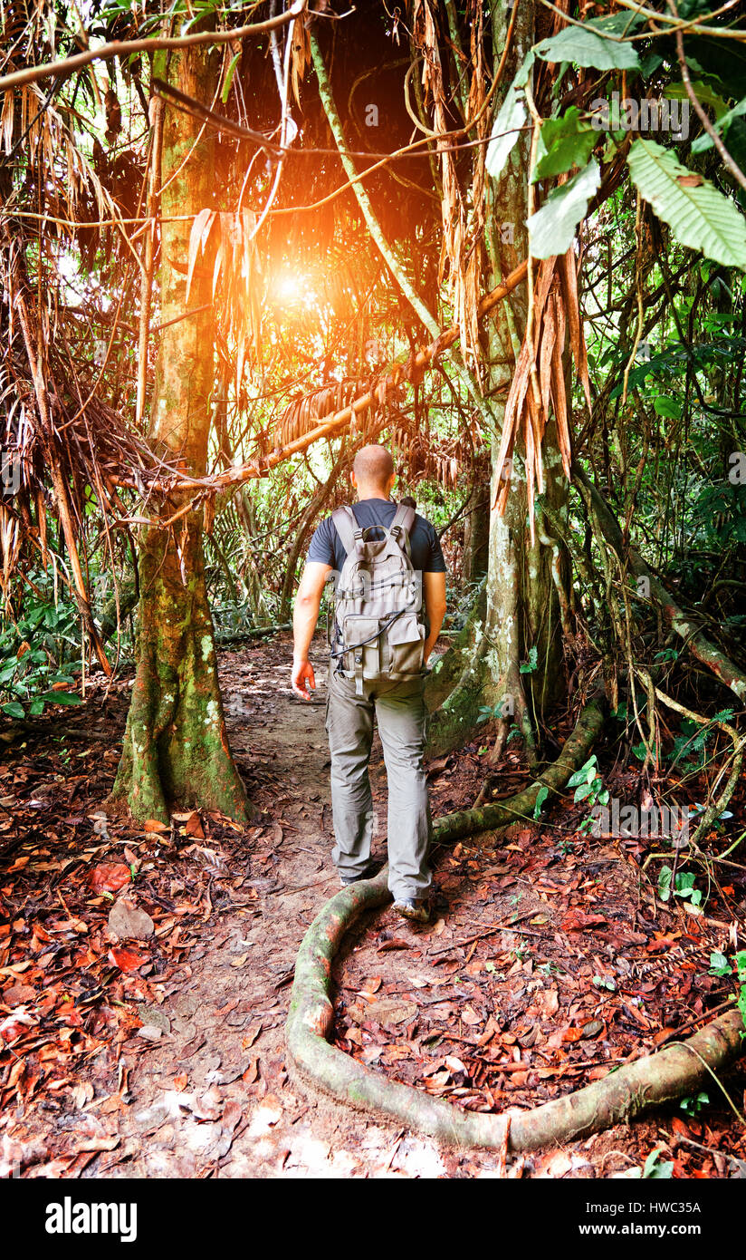 L'uomo cammina nella foresta pluviale della Malesia Foto Stock