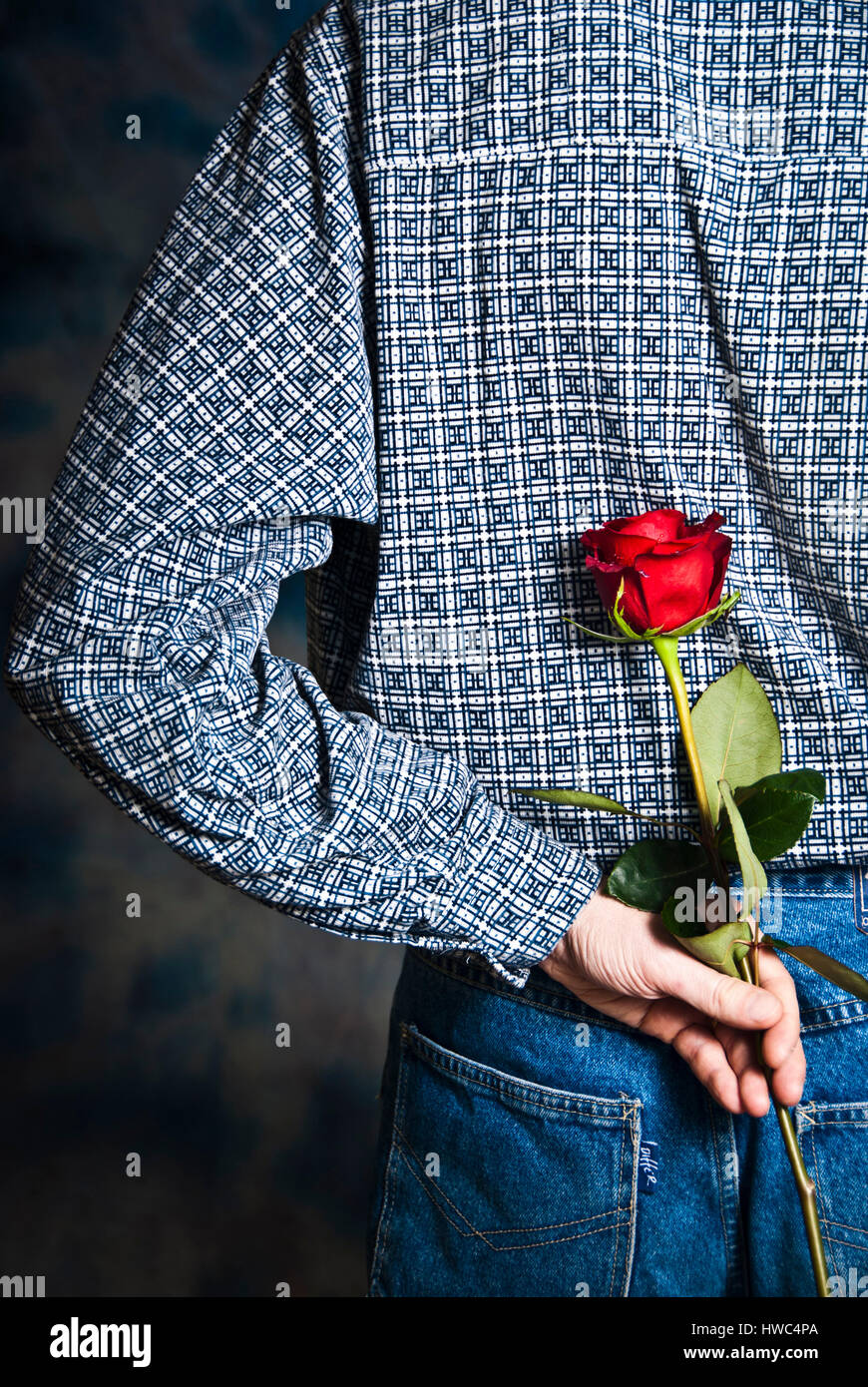 Uomo con una rosa rossa in mano dietro la schiena in attesa per dare ad  esso come un San Valentino regalo romantico Foto stock - Alamy