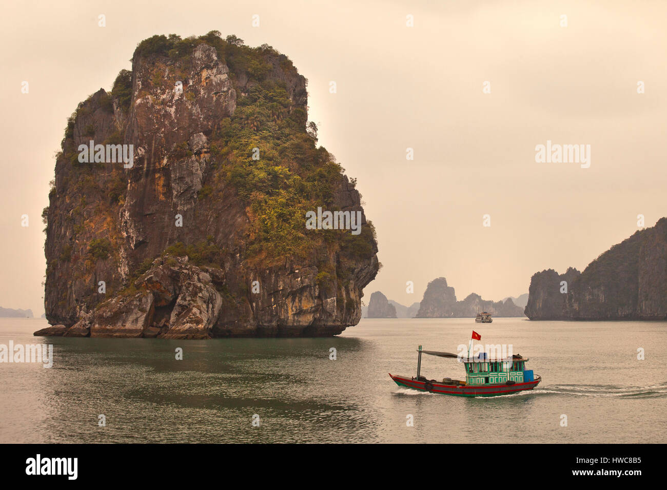 Halong Bay, Vietnam, affioramenti calcarei salire dal mare della Cina del Sud Foto Stock