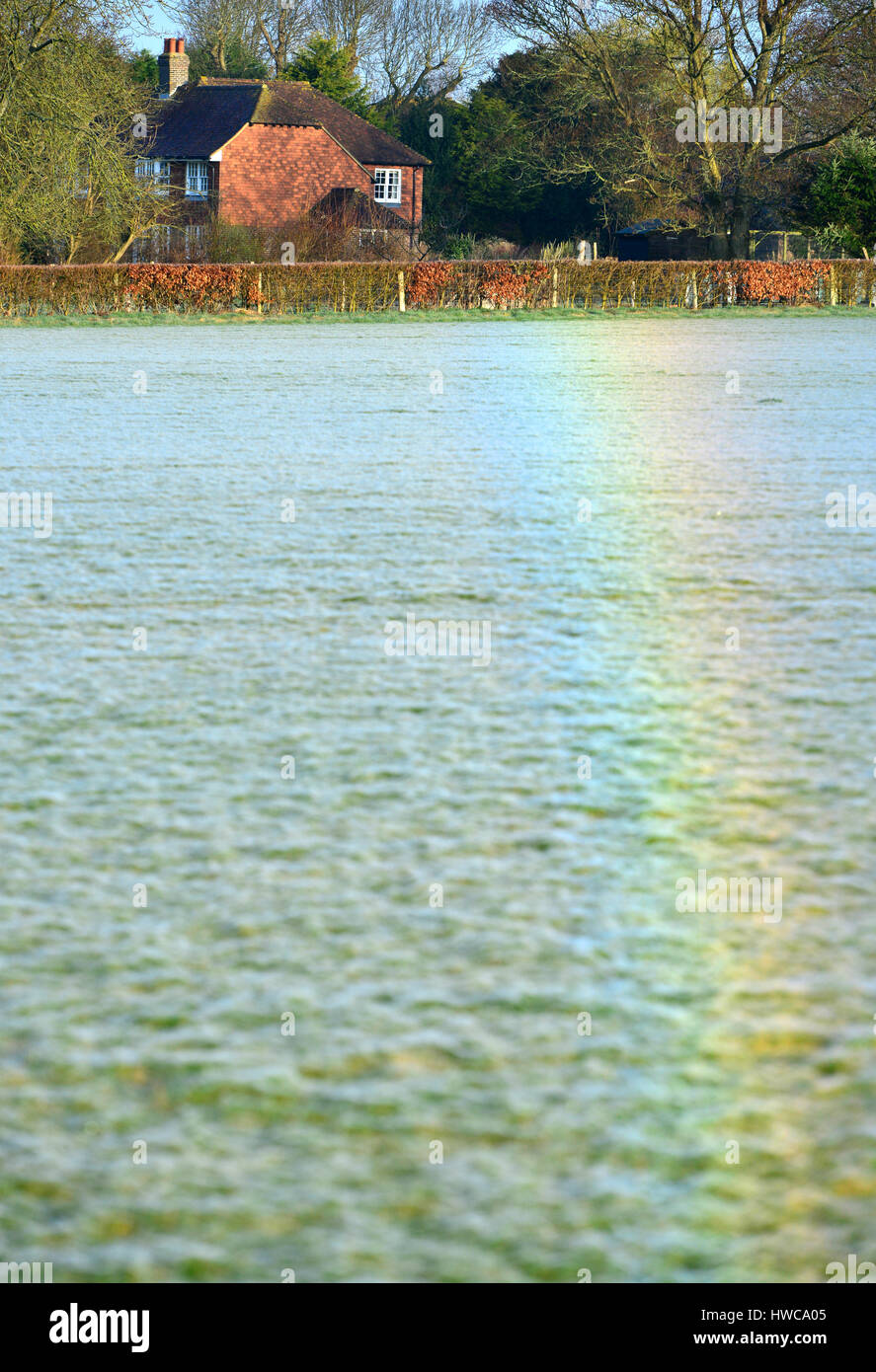 Rainbow creati dalla luce rifratta dalla rugiada su milioni di minuscoli ragnatele, East Sussex. Foto Stock