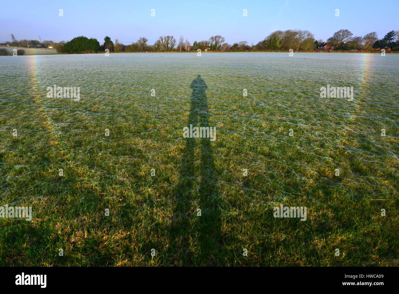 Rainbow creati dalla luce rifratta dalla rugiada su milioni di minuscoli ragnatele, East Sussex. Foto Stock