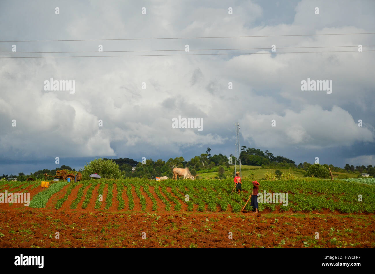 Vista sulla campagna in Myanmar Foto Stock