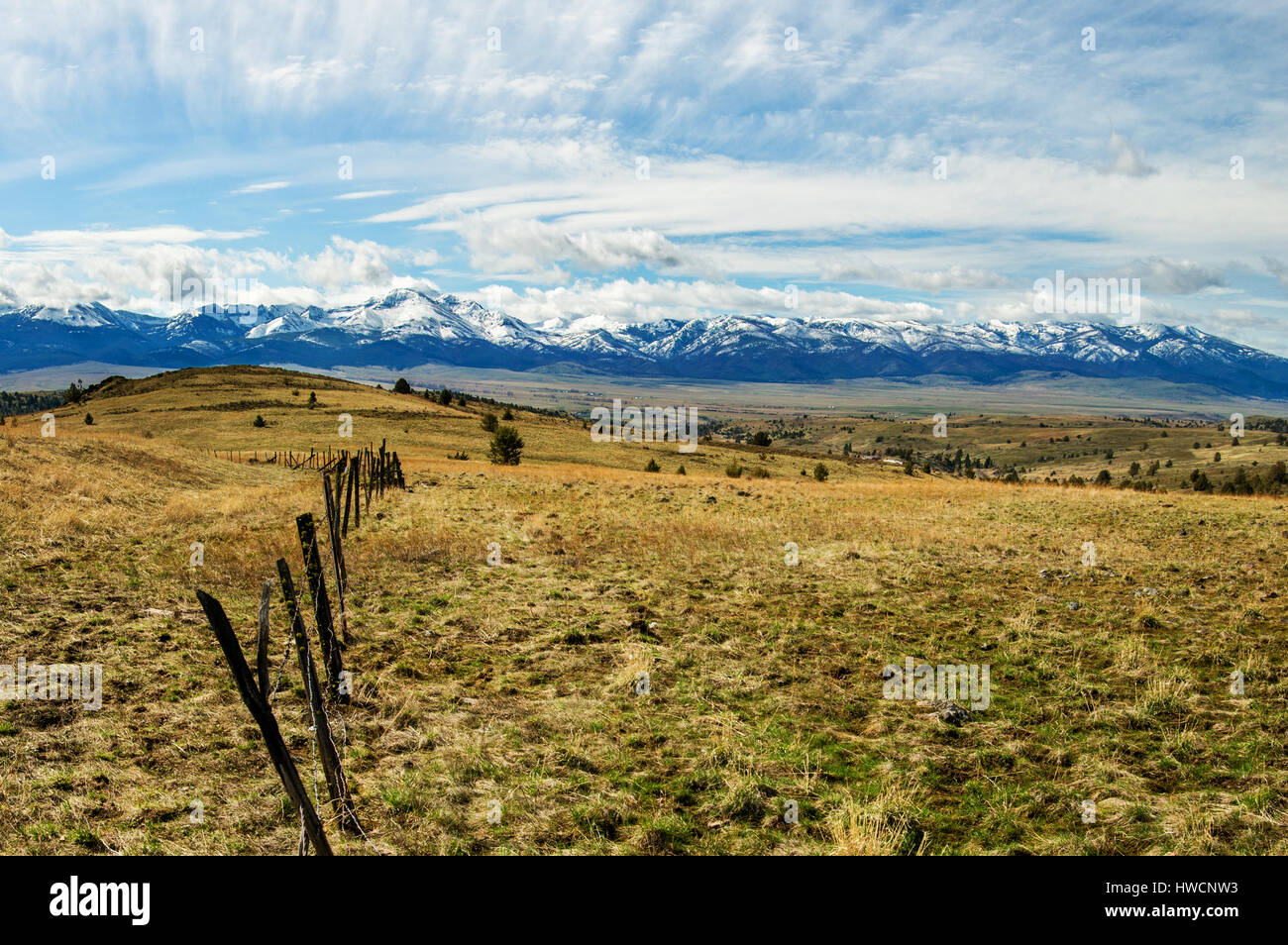 Un bellissimo campo aperto in città Prarie, Oregon. Foto Stock