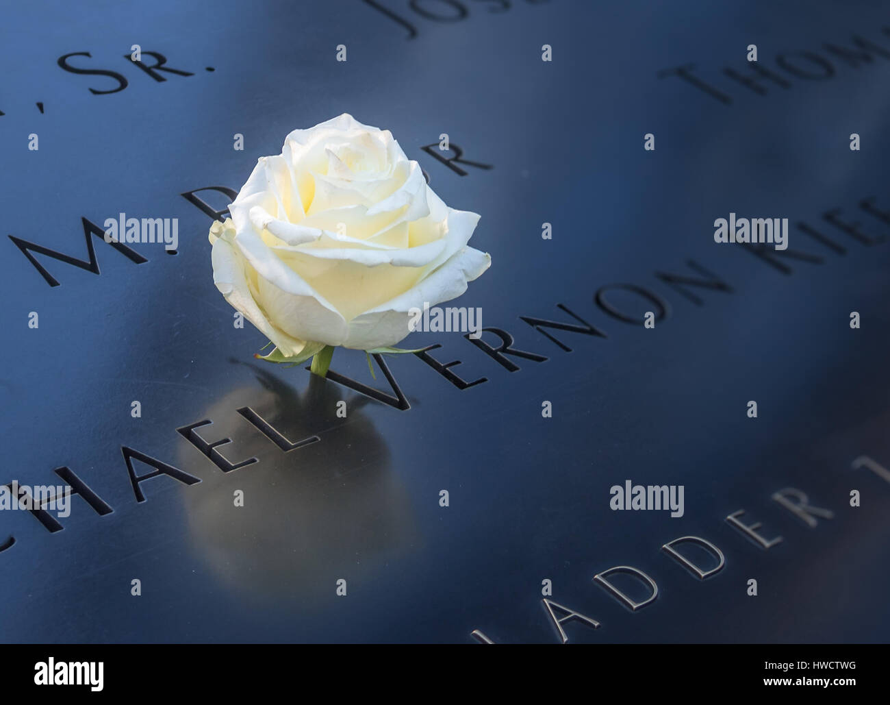 Compleanno rosa bianca a sinistra vicino a nome della vittima incisa sul parapetto in bronzo di 9/11 Memorial al World Trade Center Ground Zero - New York, Stati Uniti d'America Foto Stock
