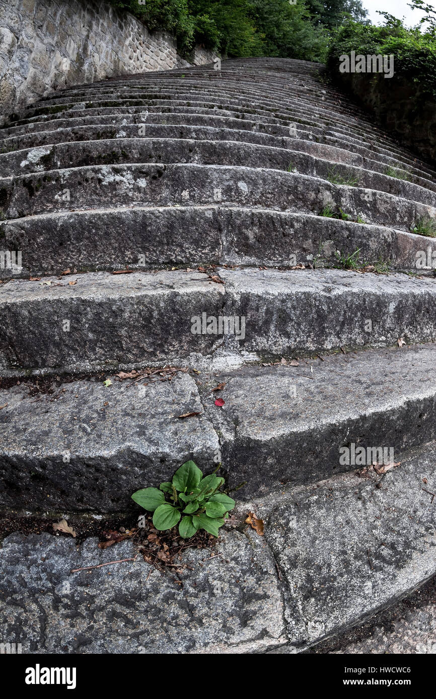 La morte stretta scalinata alla cava di pietra nel campo di concentramento  di Mauthausen in Austria. Campo di concentramento della fase III dal 1938  al 1945 Foto stock - Alamy