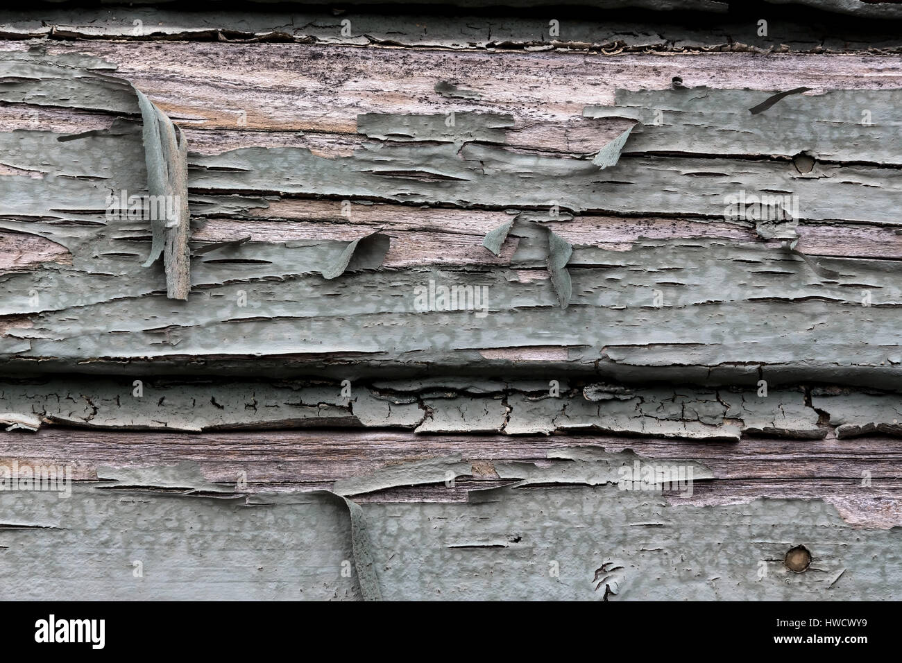 Persona vecchia, sfoglia il colore mediante una finestra di legno. Meteo, Alte, abgeblätterte Farbe bei einem Holzfenster. Witterung Foto Stock
