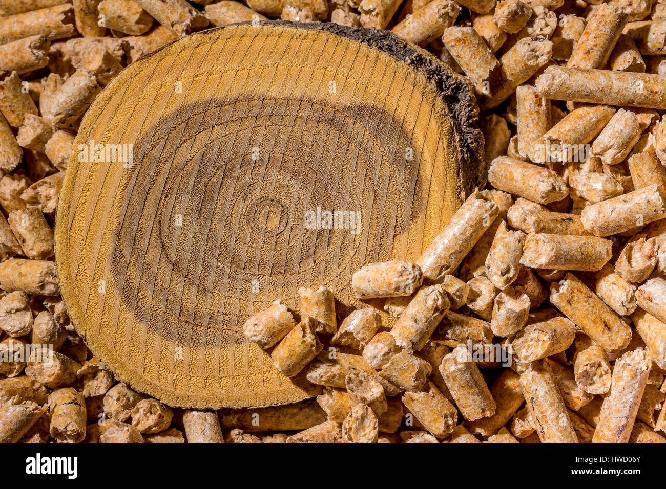 Pellzts per riscaldamento come una fonte di energia alternativa. Ecologico riscaldamento, Pellzts zum Heizen als Energiequelle alternativi. Umweltfreundlich Foto Stock