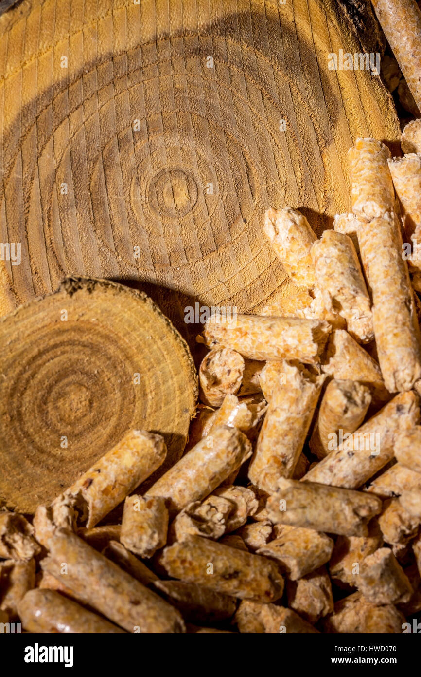 Pellzts per riscaldamento come una fonte di energia alternativa. Ecologico riscaldamento, Pellzts zum Heizen als Energiequelle alternativi. Umweltfreundlich Foto Stock