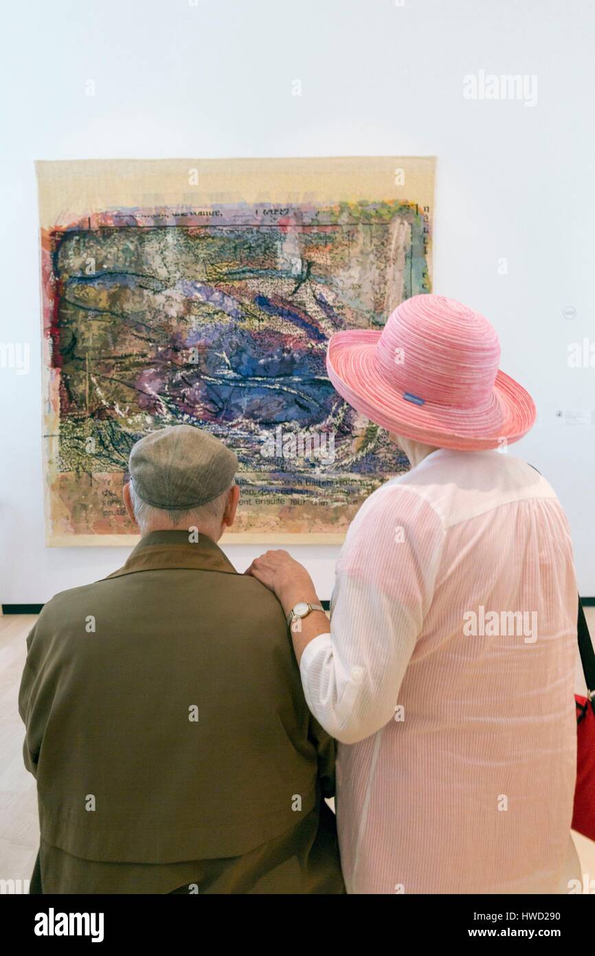 Canada, Québec, Provincia di Quebec City, il Musée national des Beaux Arts du Québec, il nuovo padiglione Pierre Lassonde, il lavoro di Marcel Marois, come un tuffo in un onda confusa, alta tappezzeria di ordito Foto Stock