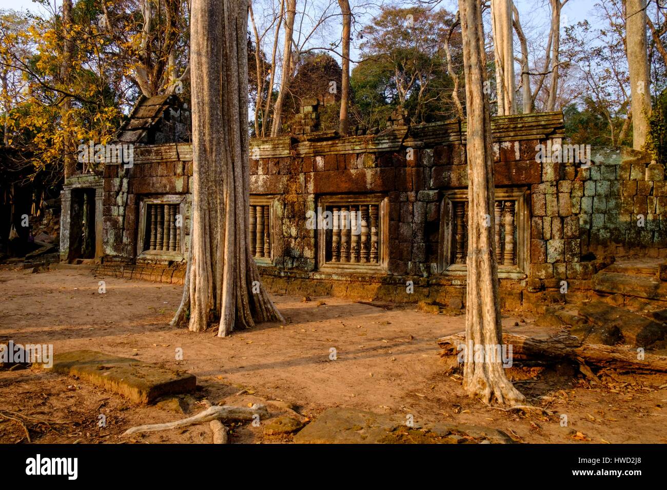 Cambogia, Preah Vihear provincia, complesso di templi di Koh Ker, datata 9 al XII secolo, il tempio di Prasat Thom o Prasat Kompeng Foto Stock