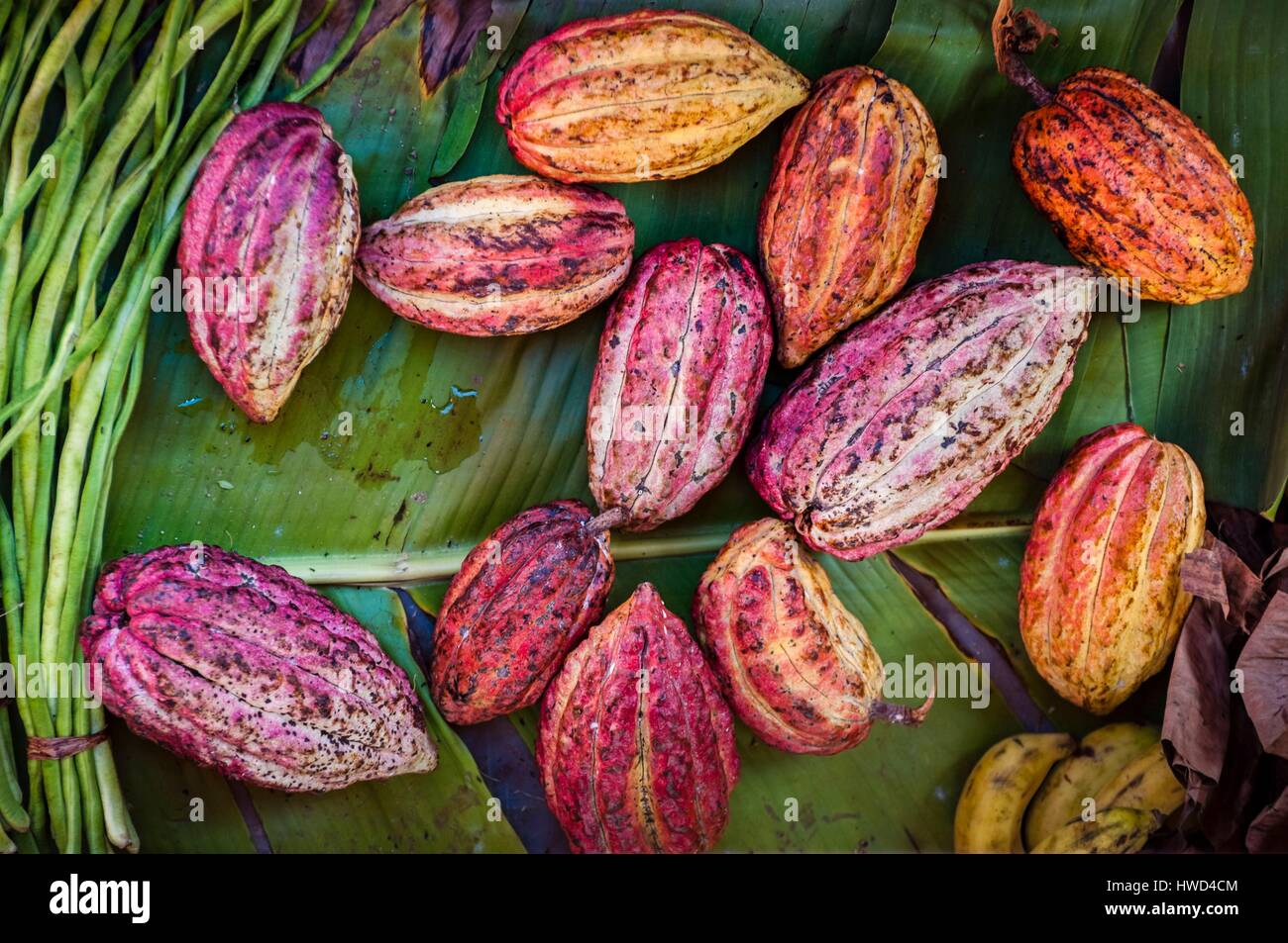 Seychelles, Isola di Mahe, Victoria, Sir Selwyn Clarke Market, cacao Cialde su foglia di banana Foto Stock