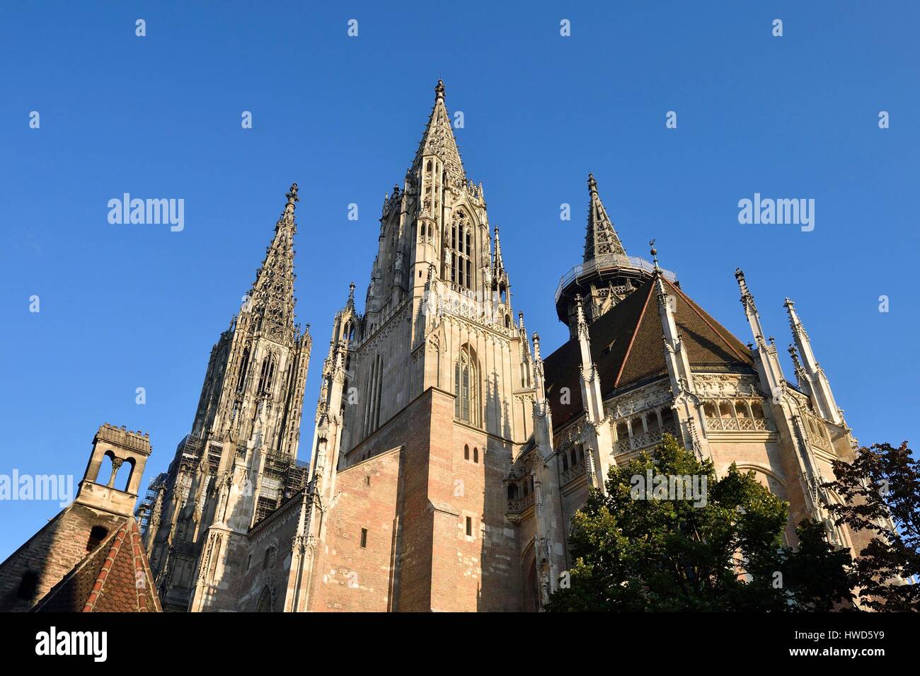 Germania, Bade Wurtemberg, Ulm, Albert Einstein' s natali, Cattedrale luterana (Munster), il più alto la Chiesa in tutto il mondo con una misurazione di guglia 161m (530 ft) Foto Stock