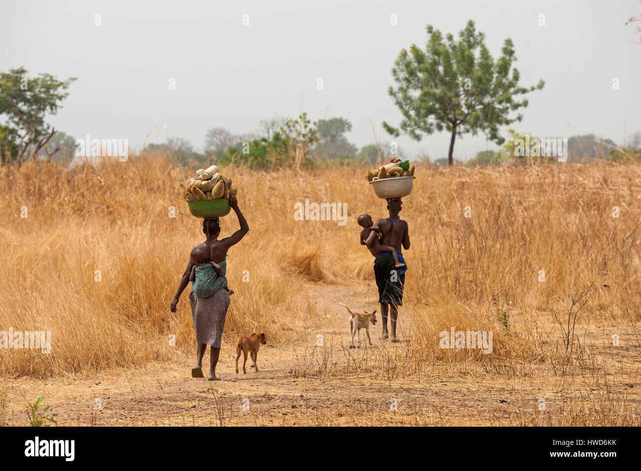Il Togo, regione settentrionale, donna Tamberma Foto Stock