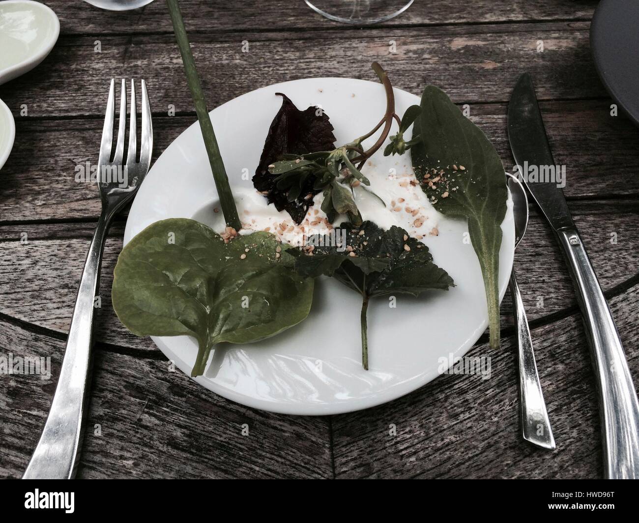 Francia, Drome, Provenza, Saint Paul Trois Châteaux, ristorante L et Lui, cucina con fiori e piante selvatiche Foto Stock