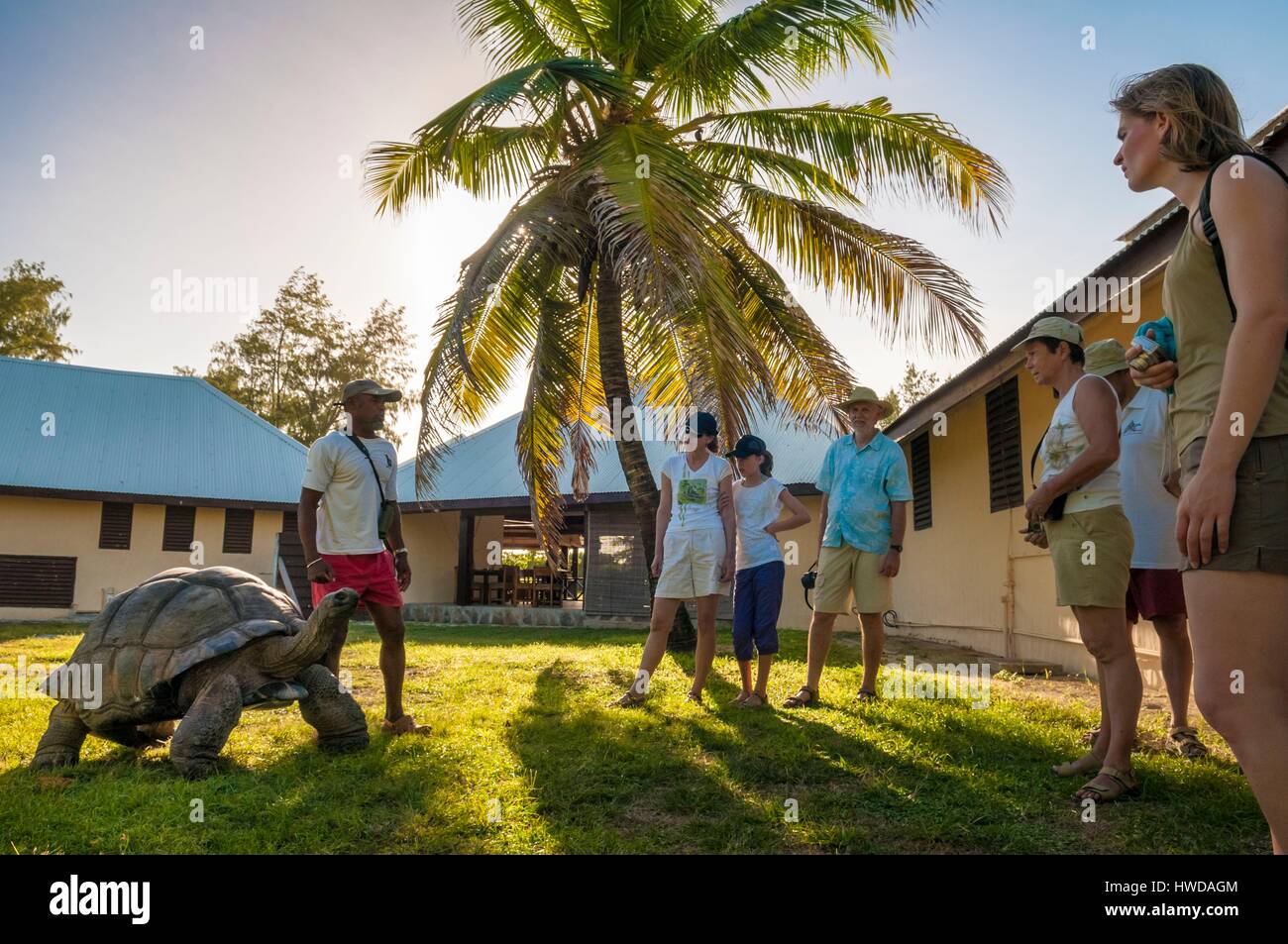 Seychelles, Bird Island Lodge, Roby BRESSON, naturalista, presenta un Seicelle tartaruga gigante (Aldabrachelys gigantea) per i turisti al lodget Foto Stock