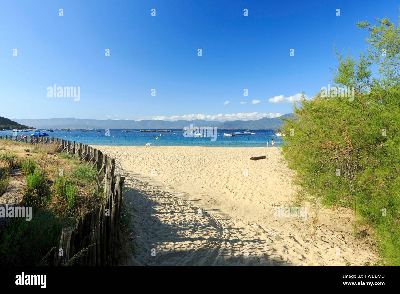 Francia, Corse du Sud, Golfo del Valinco, Belvedere Campomoro, Campomoro, spiaggia Foto Stock