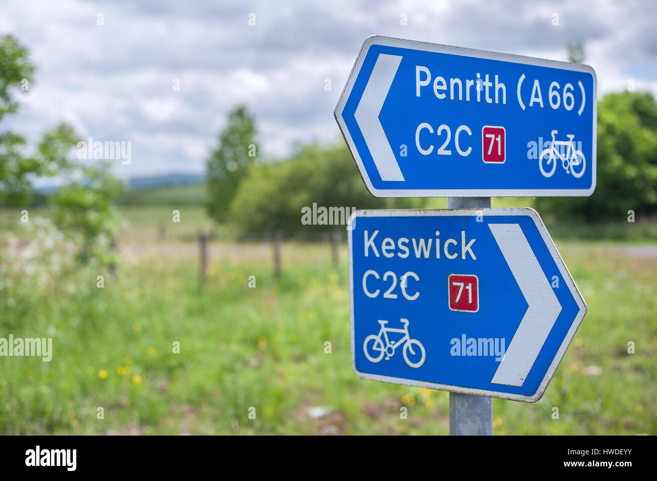 Cartello in metallo per il coast to coast route 71 del ciclo nazionale rete, Regno Unito Foto Stock
