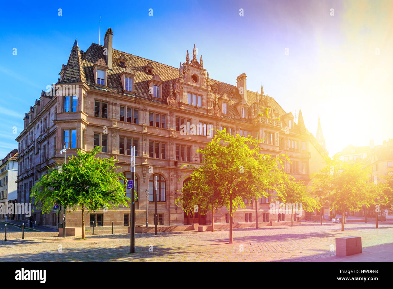 Green Street nel centro storico di Strasburgo, Francia con decorazioni floreali. Foto Stock