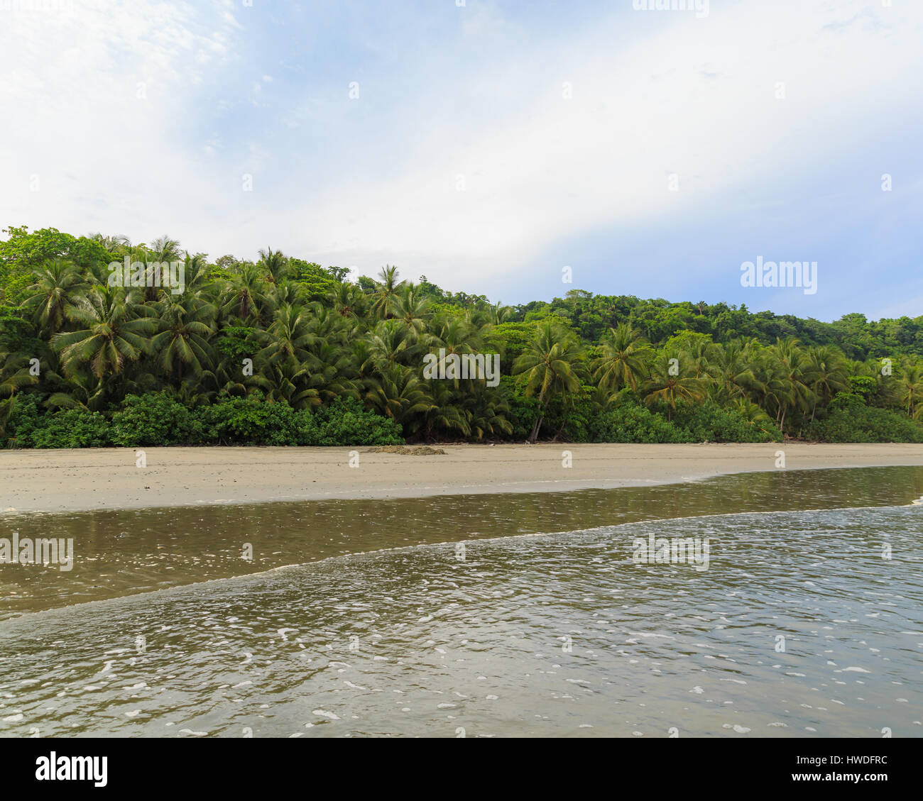 Grande spiaggia di sabbia di montezuma Foto Stock Grande spiaggia di sabbia di montezuma Foto Stock