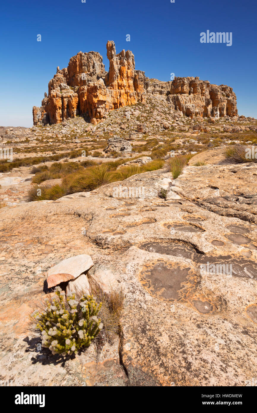 Scenario desertico in parti remote del Cederberg Wilderness in Sud Africa. Foto Stock