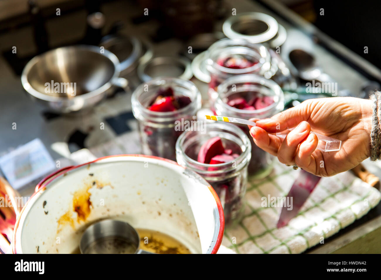 Mano di donna test PH barbabietole conserva vasi in cucina Foto Stock