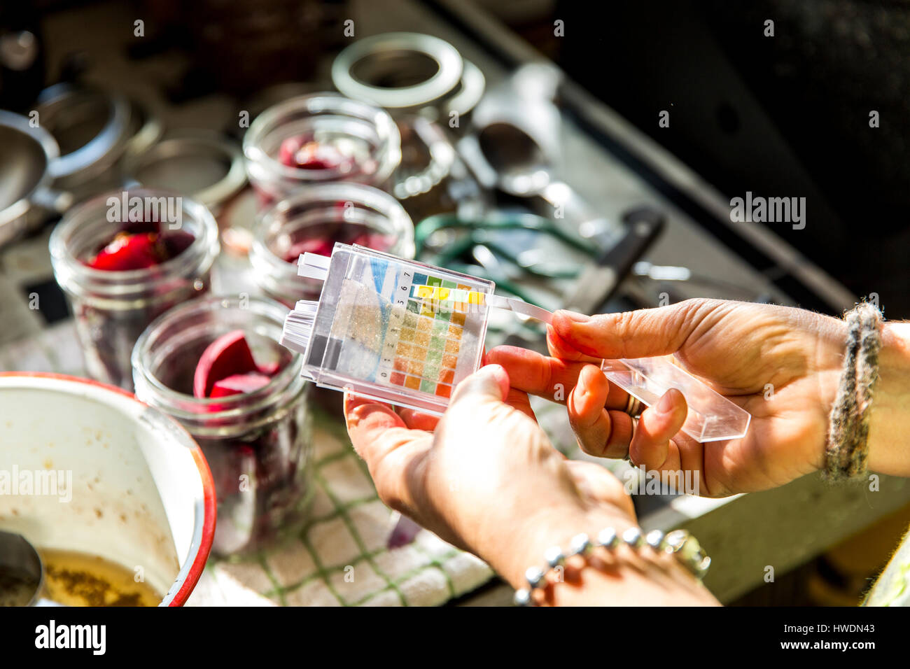 Mano di donna test PH barbabietole conserva vasi in cucina Foto Stock